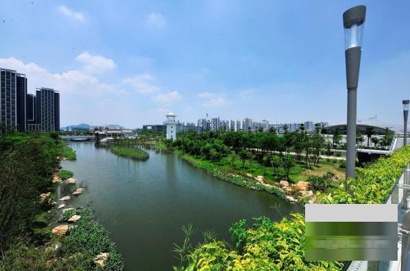 广州亚运城公园及公共绿化配套工程